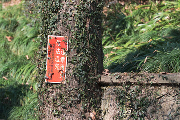 red tree in the garden