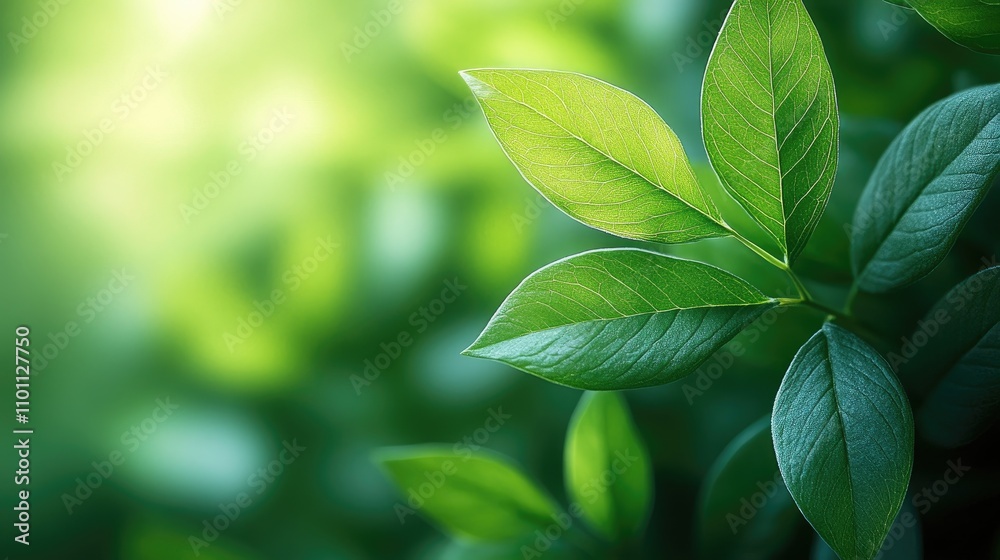 Poster abstract blurred green leaf background ideal for nature articles, digital designs, and presentations