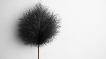 Fototapeta premium Feather duster positioned against a clean white backdrop highlighting its texture and detail for minimalist design concepts.