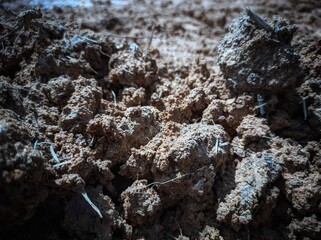 fertile soil ready for planting media, moist fertile soil