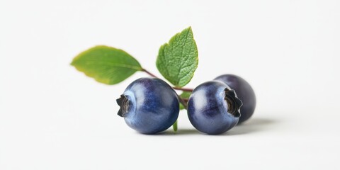 Isolated blue bilberry, also known as whortleberry, displayed against a white background. This blue bilberry showcases its vibrant color and unique features in a clean setting.