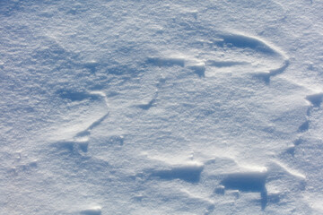 The snow is white and the ground is covered in it