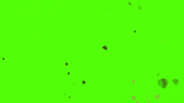 old tv efect green screen