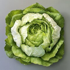 Fototapeta premium Close-up of a Vibrant Green Cabbage: A Detailed Botanical Still Life