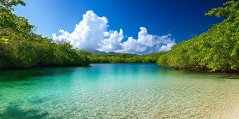 Caribbean lagoon showcasing the tranquil beauty of a Caribbean lagoon, featuring clear waters and lush surroundings, perfect for relaxation and exploration amidst a serene Caribbean lagoon setting.
