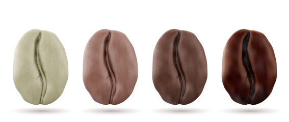 Realistic 3d coffee beans showing roasting stages from raw green to dark brown. Four detailed kernels with gradual color transformation during heating process for barista education or roasting guides.