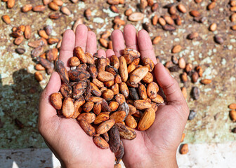 Cocoa is high in antioxidants and has anti-inflammatory properties.