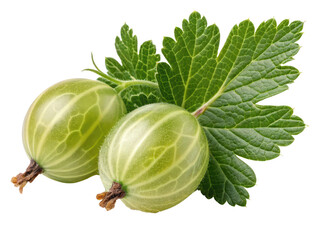 Fresh Green Gooseberries with Leaves Isolated on White Background