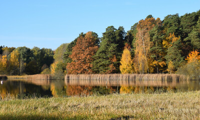 The small lake Råcksta träsk a color full autumn day in the Stockholm district Bromma