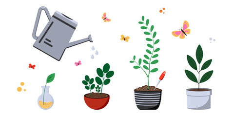 Colorful plants grow in various pots while a watering can showers them © Anna