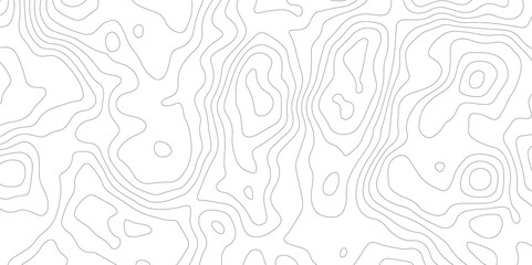 Fototapeta premium White paper curve reliefs abstract background. Abstract Topography contours map background. Pattern and Geography grid map design.