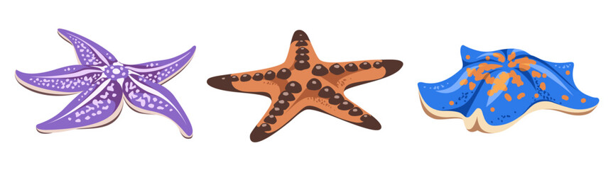 Collection of hand drawn Starfish. Vector illustration. Summer design elements isolated in a white background.
