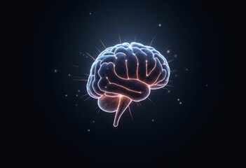 Fototapeta premium Artistic rendering of a neural network as a floating, digital brain outlined with illuminated circuits