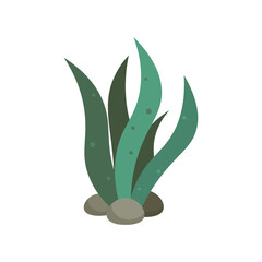 Underwater Plant Vector Illustration - 09