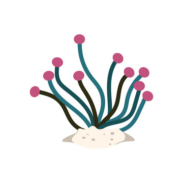 Underwater Plant Vector Illustration - 10