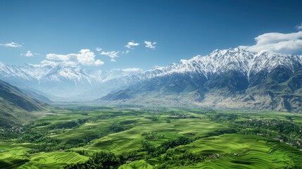 Bright green rice fields neatly laid out under snow-capped mountain peaks and blue skies background wallpaper AI generated image