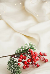 Christmas decoration of holly berry. Winter composition with a Christmas tree branch, red berries...