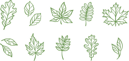 Green line art leaves, autumn leaf illustration, vector plant outline clip art design