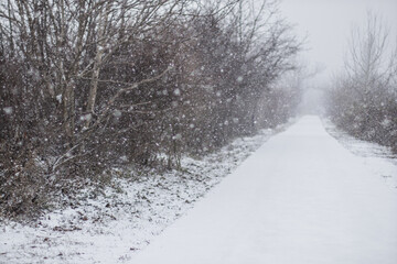 Snowy frosty winter snowfall mood