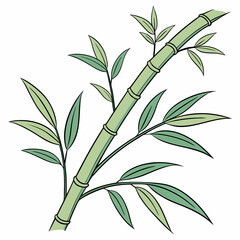 Fototapeta premium Bamboo tree with lush green leaves, showcasing its tall, slender stalks and vibrant foliage against a clear background.