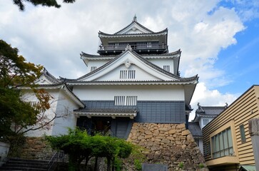 岡崎城 青空の天守閣
