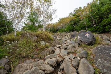 Futaarasan Shrine Chugu Shrine and Mt. Nantai