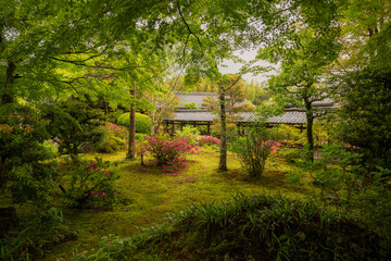 Tenryu-ji temple in Kyoto in a rainy day