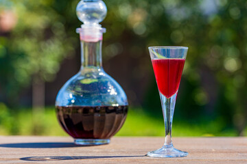 Homemade red cherry brandy in wineglass and in a glass bottle on a wooden table in a summer garden, closeup