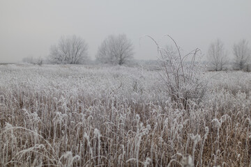 Frozen frosty ice coating winter mood