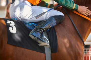 Race horse with jockey detail. Purebred in the hippodrome. Turf