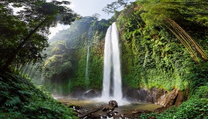 Fototapeta premium waterfall in the forest