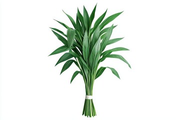 Obraz premium Fresh Green Tropical Plant Leaves Bundle on White Background