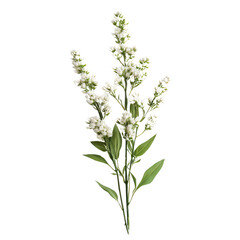 Reed Grass, Generative AI	