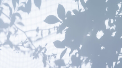 葉っぱの影のシルエット素材