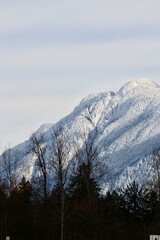 Montagne enneig&eacute;e 