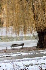 parc et son banc sous la neige