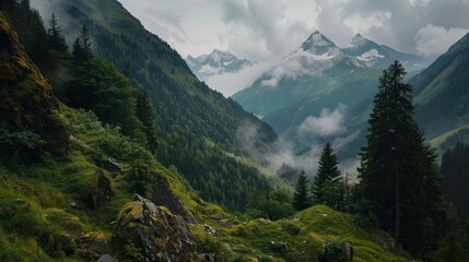 Obraz premium photograph of Scenic mountain nature along the Gerlos Alpine Road, Austria