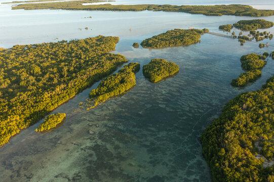 Coastal wetland ecosystem, mangrove forest and clear waters in Olango Island, Lapu-Lapu, Philippines.