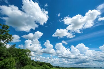 Obraz premium Summer Landscape Featuring a Vibrant Blue Sky Adorned with Puffy Cumulus Clouds and Lush Green Foliage