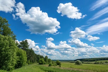 A picturesque summer landscape featuring a vibrant blue sky adorned with fluffy cumulus clouds, a lush green meadow, and a tranquil forest bordering a grassy field