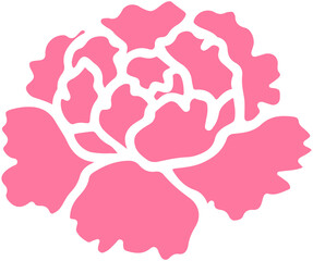 Carnation flower icon