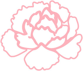 Carnation Flower Line