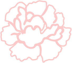 Carnation Flower Line