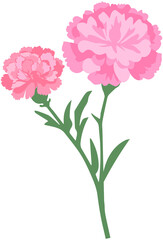 Carnation Flowers Decoration
