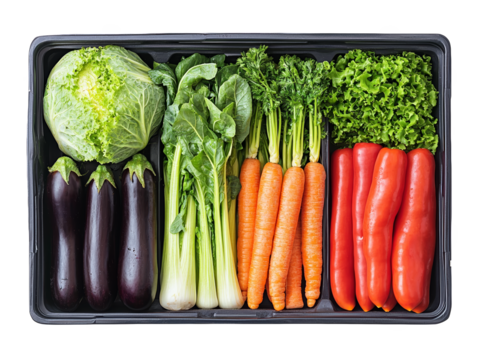 Durable black plastic container, practical storage solutions for home, office, and more