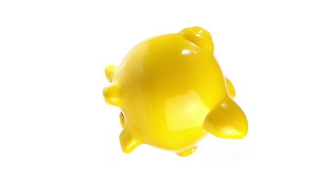 Yellow Piggy Bank turn around on white Background