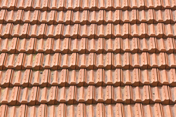 Detail of a roof with tile called marseilles, the first global roofing standard - Roof with double...