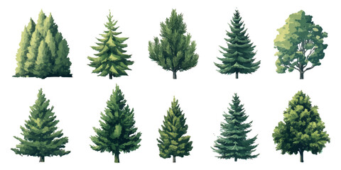 Obraz premium set of tree on a white background