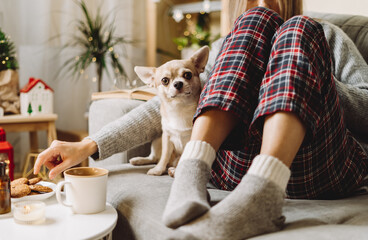 Cozy woman in knitted winter warm socks and sweater and checkered pajama eating cookies with dog, during resting on couch at home in Christmas holidays. Winter hot drink mug of cocoa or coffee