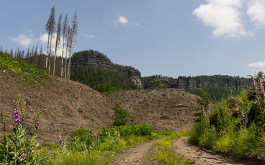 Fototapety na wymiar - Fototapeta24.pl